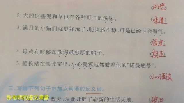 四年级下册词语专项训练,之所以和是因为这个关联词,应如何使用