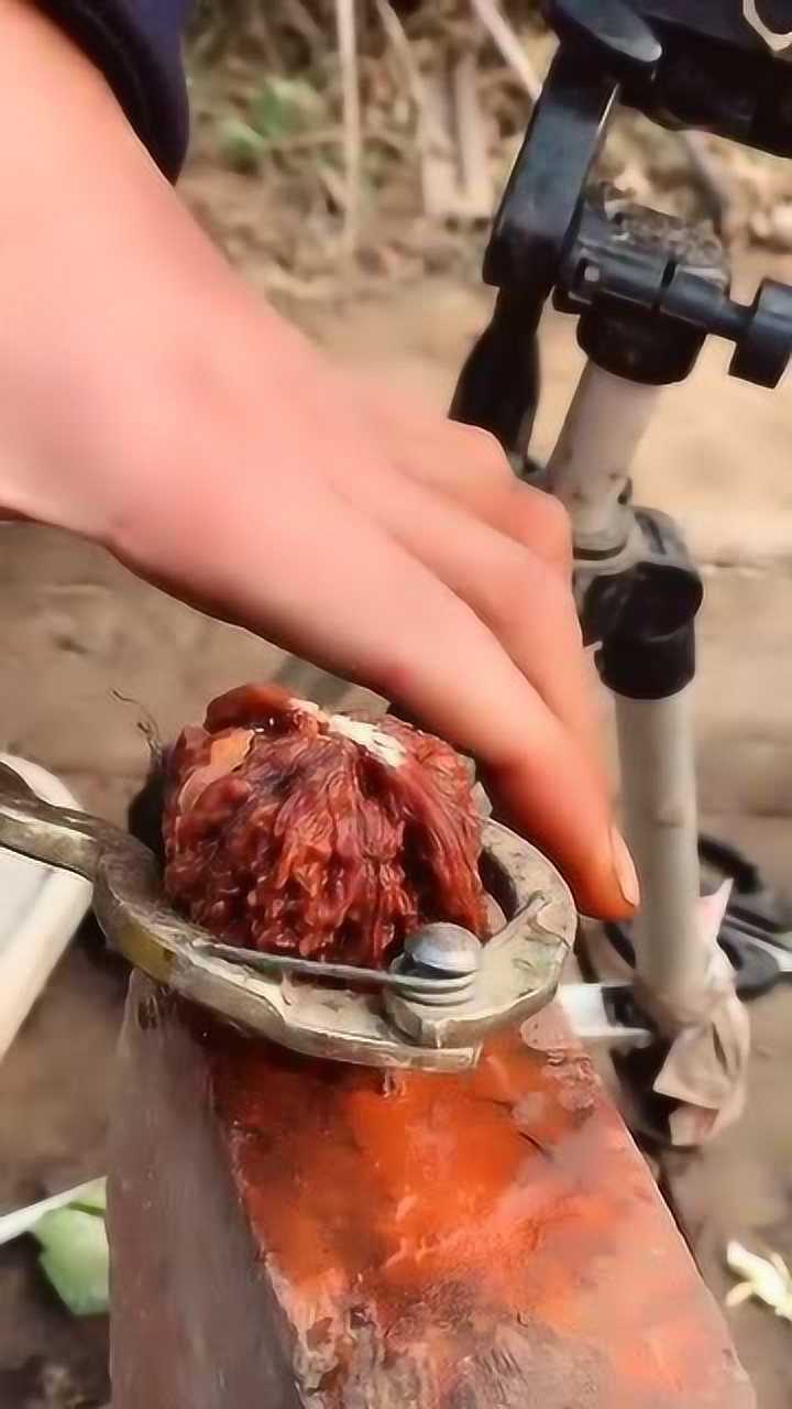 大爷盘了几十年的核桃,就这样被孩子给砸了,真是败家子!