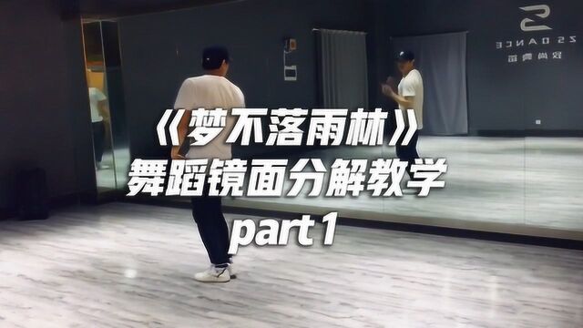 《梦不落雨林》舞蹈教学part1