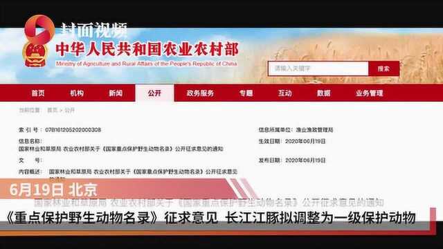 《重点保护野生动物名录》征求意见 长江江豚拟调整为一级保护动物