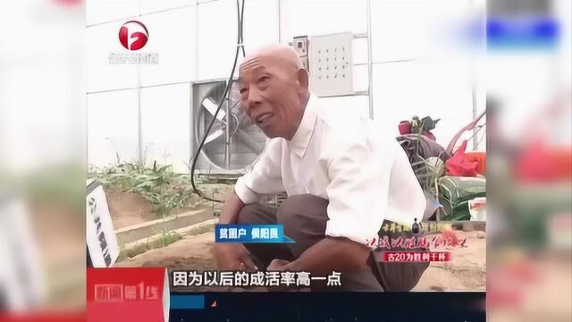 桐城这家农家乐项目自产自销 家庭农场助力脱贫 整个村都奔小康