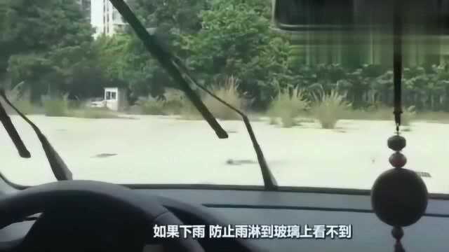 新手教学:学车起步技巧,驾校教练不教的窍门,看完开车更轻松!