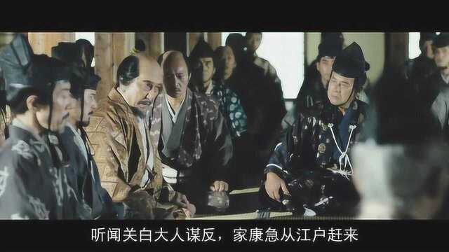 德川家康力谏将丰臣秀次妻小全部斩首,以斩草除根,真是慈不掌权