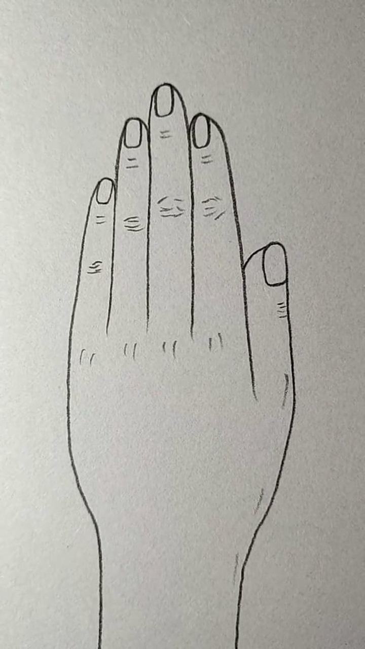 你的手背是这个样子的吗