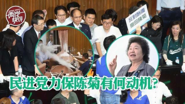 民进党力保陈菊,幕后有何动机?