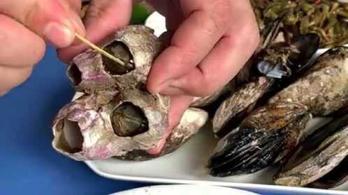 长在岩石上看似很恶心的藤壶,没想到也是一大美味,吃法是这样的!