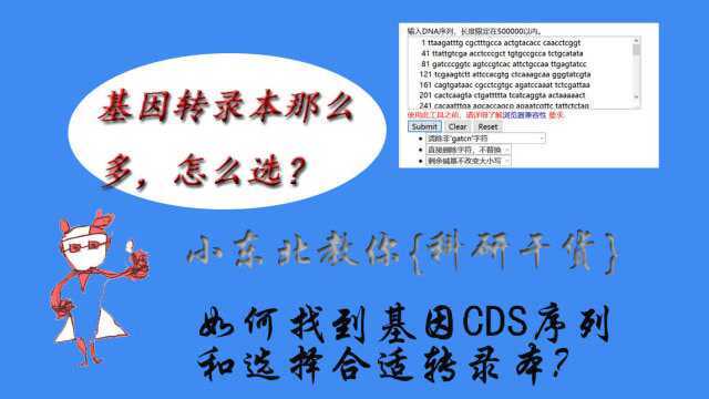 科研干货如何从众多转录本中找到想要的CDS及DNA Filter应用