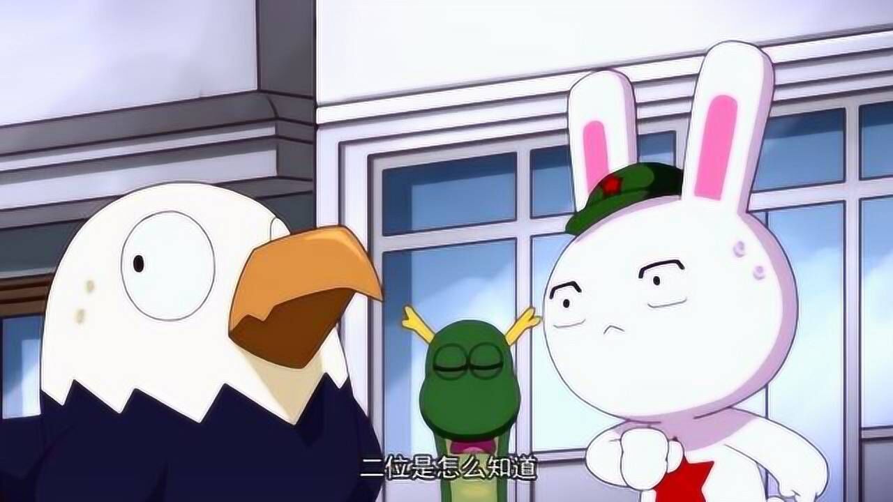 那年那兔那些事儿:兔子数小钱钱的样子太可爱了.