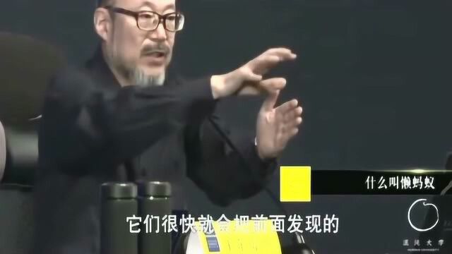 懒蚂蚁是什么意思?和人类有什么关系?听听王东岳教授的精辟解析!