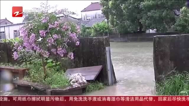 玉米地被淹 临河小路漫水 湖州发布暴雨橙色预警