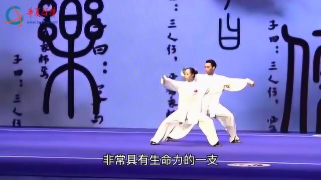 国家级非物质文化遗产——太极拳