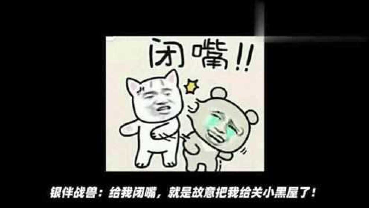 宝可梦剑盾被关小黑屋的人造宝可梦银伴战兽现身