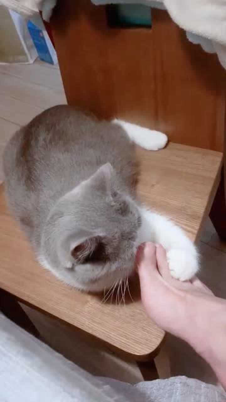 我真的没想到,你竟然这么喜欢舔爸爸的脚,爸爸的脚不臭吗?