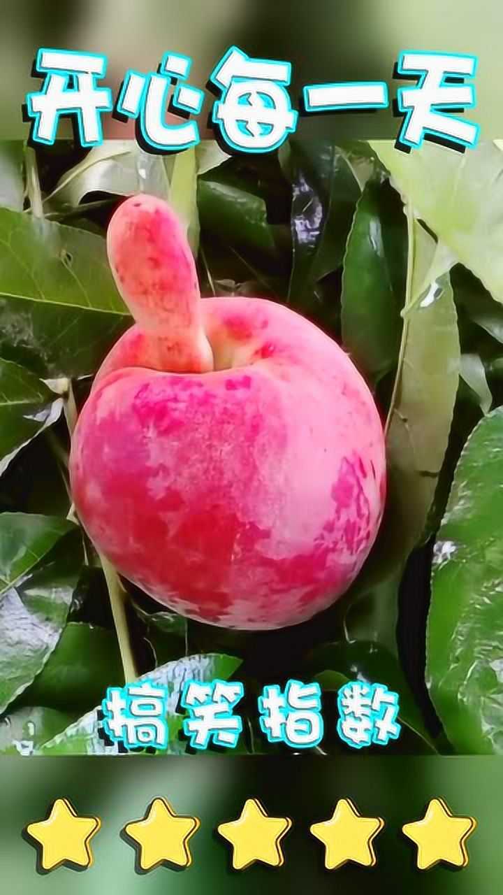 这桃子的造型,这是与众不同
