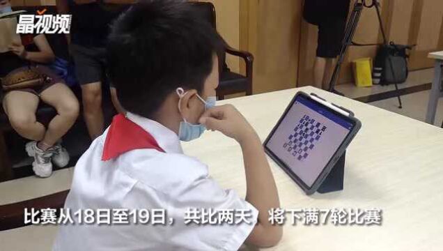 全国1345名小棋手线上对弈 深圳国际象棋网络赛开幕