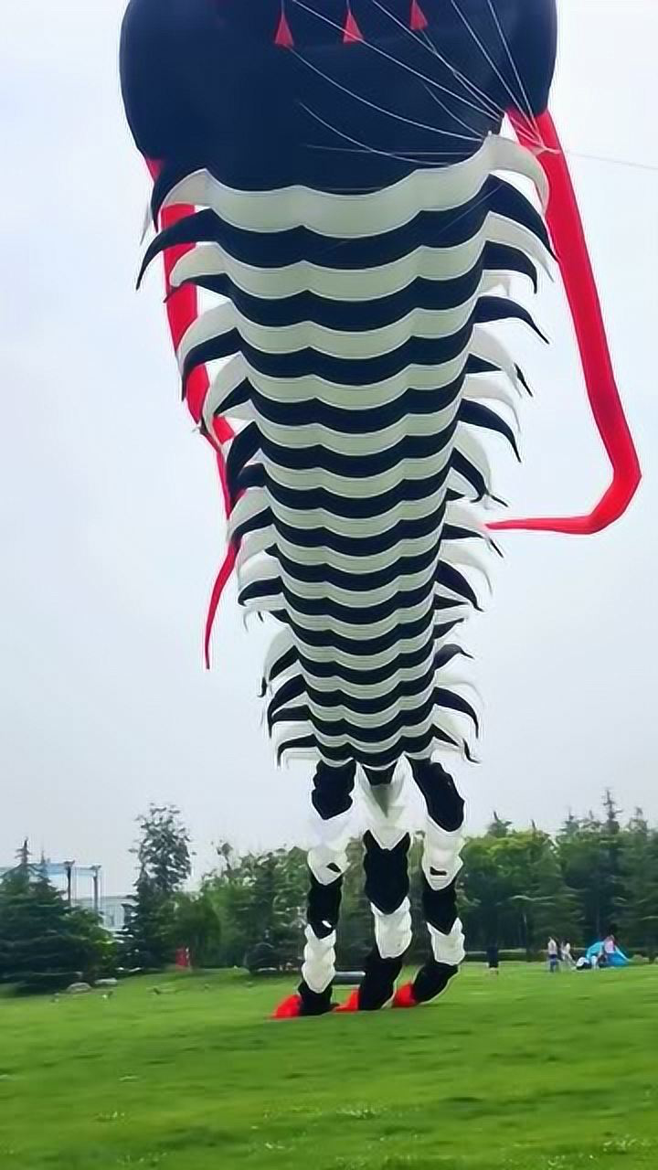 远古三叶虫风筝成功放飞的一瞬间就是见证奇迹的时刻