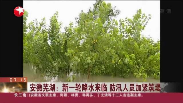 安徽芜湖:新一轮降水来临 防汛人员加紧筑堤