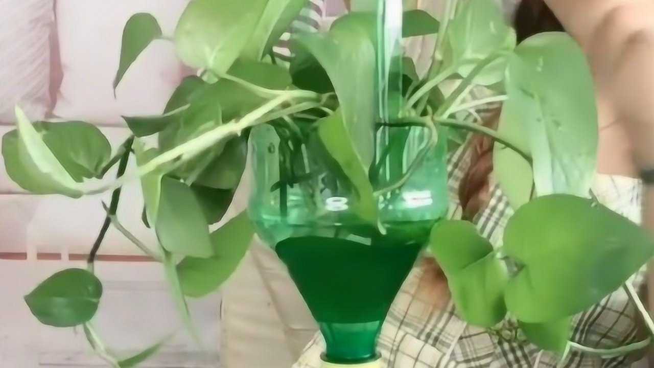 ѩƿӻһϲĻ
