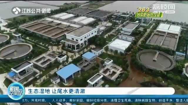 江苏多地打造“生态安全缓冲区”:一水多用 让尾水更清澈!