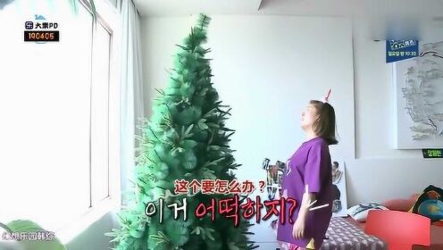 韩综：朴娜莱家圣诞树2米多 摆着好看 收拾起来超麻烦