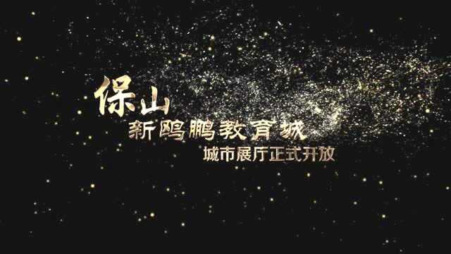 保山新鸥鹏教育城城市展厅正式开放