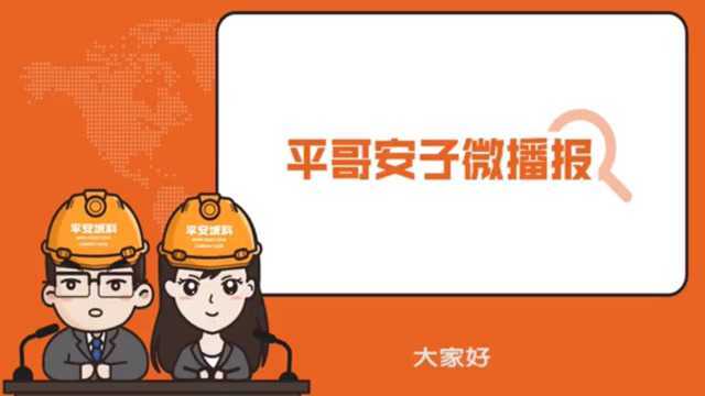 LPR是什么?平哥安子带你来科普(1)