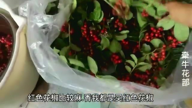 分享鲜花椒的保存方法