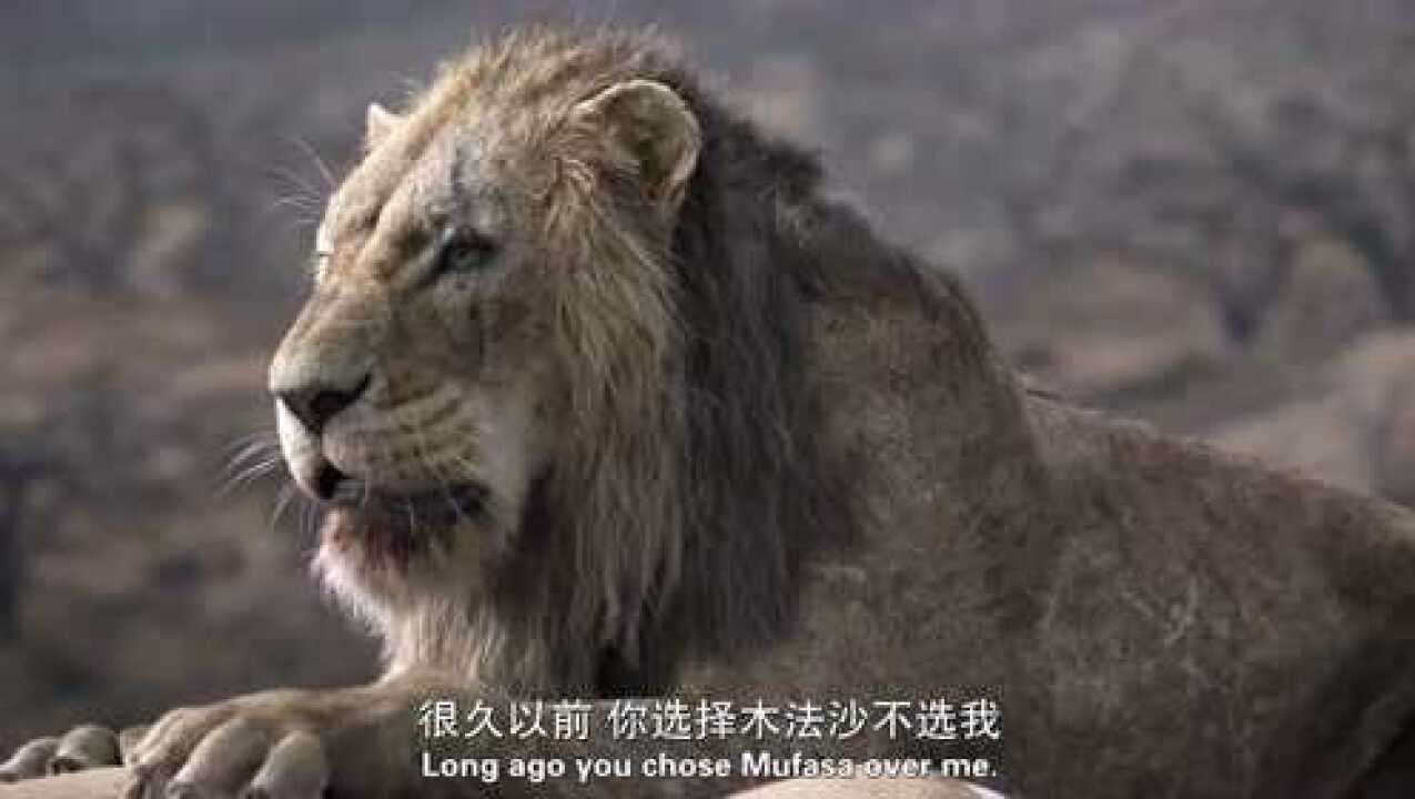 狮子王：沙拉碧并没有说服刀疤，刀疤不屑理会这个王后_腾讯视频