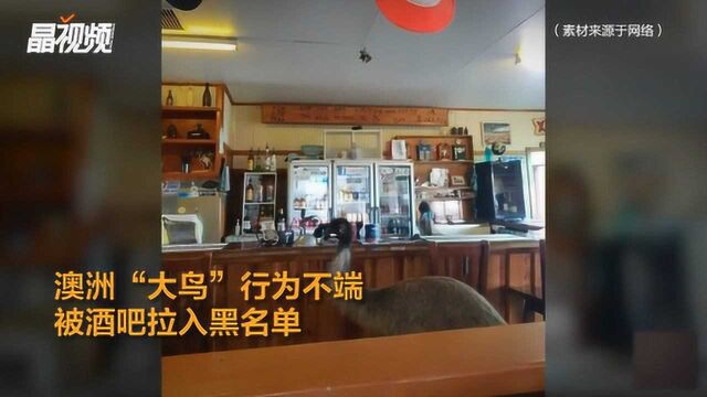 澳洲“大鸟”行为不端 被酒吧拉入黑名单