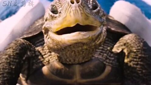 刺猬索尼克：第一次让乌龟的速度，快到怀疑自己的人生