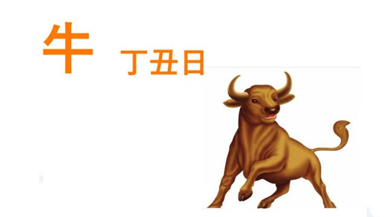 丁丑日,属牛人今日运势