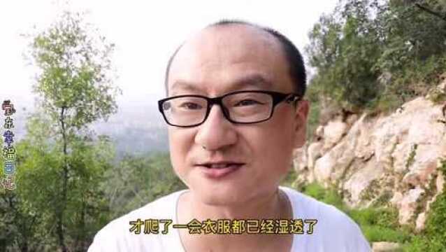 宝东去爬府君山,混身衣服都湿透了!下山为抄近路,竟然迷路了!