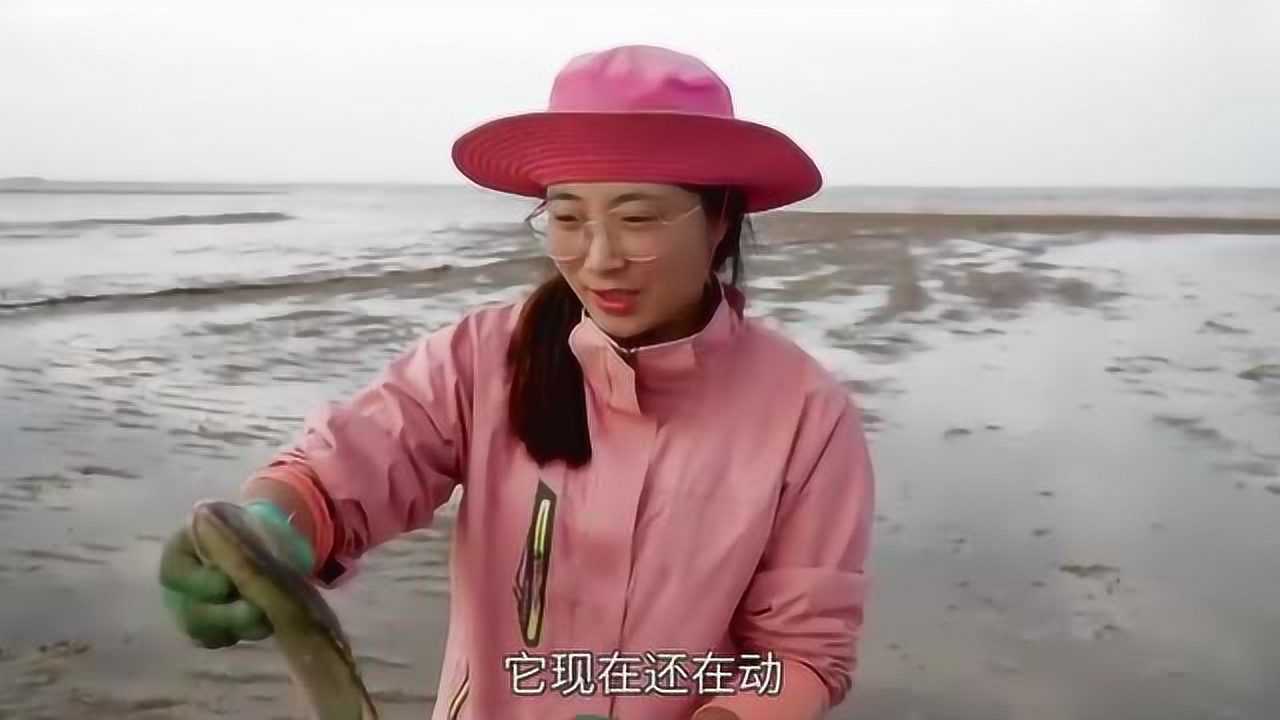 大梅赶海好货连连摆摊苦等两小时终于等到土豪大哥全部带走