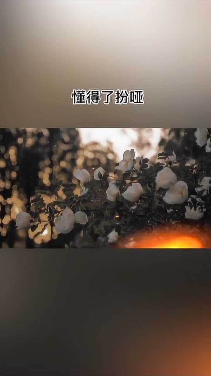 有些事心里明白就好,不用说出来,有些人看透就好