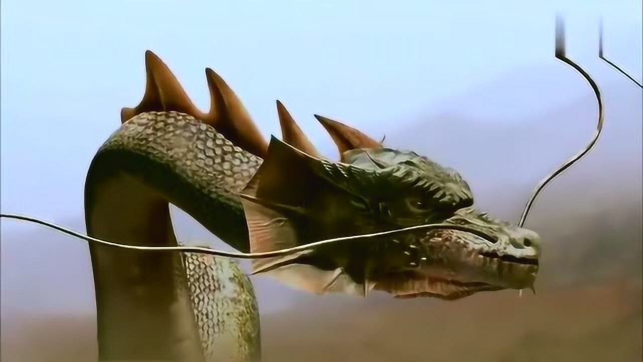 星虎vs蛟龙,看看究竟谁更猛!