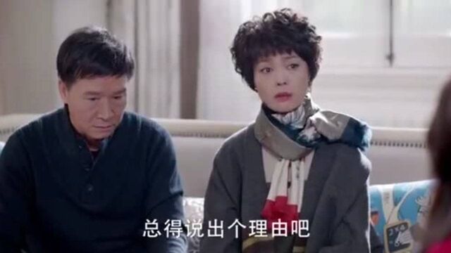 经典影视:婶婶一直住在侄女家,把自己当成主人,侄女做法霸气