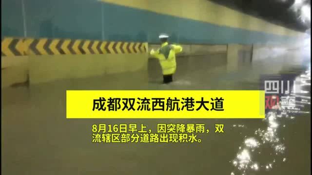 暖心!积水中有猫被困,民警淌水将其救回