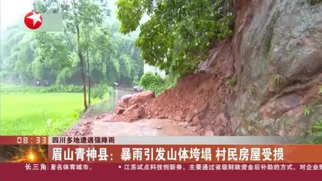 眉山青神县:暴雨引发山体垮塌 村民房屋受损