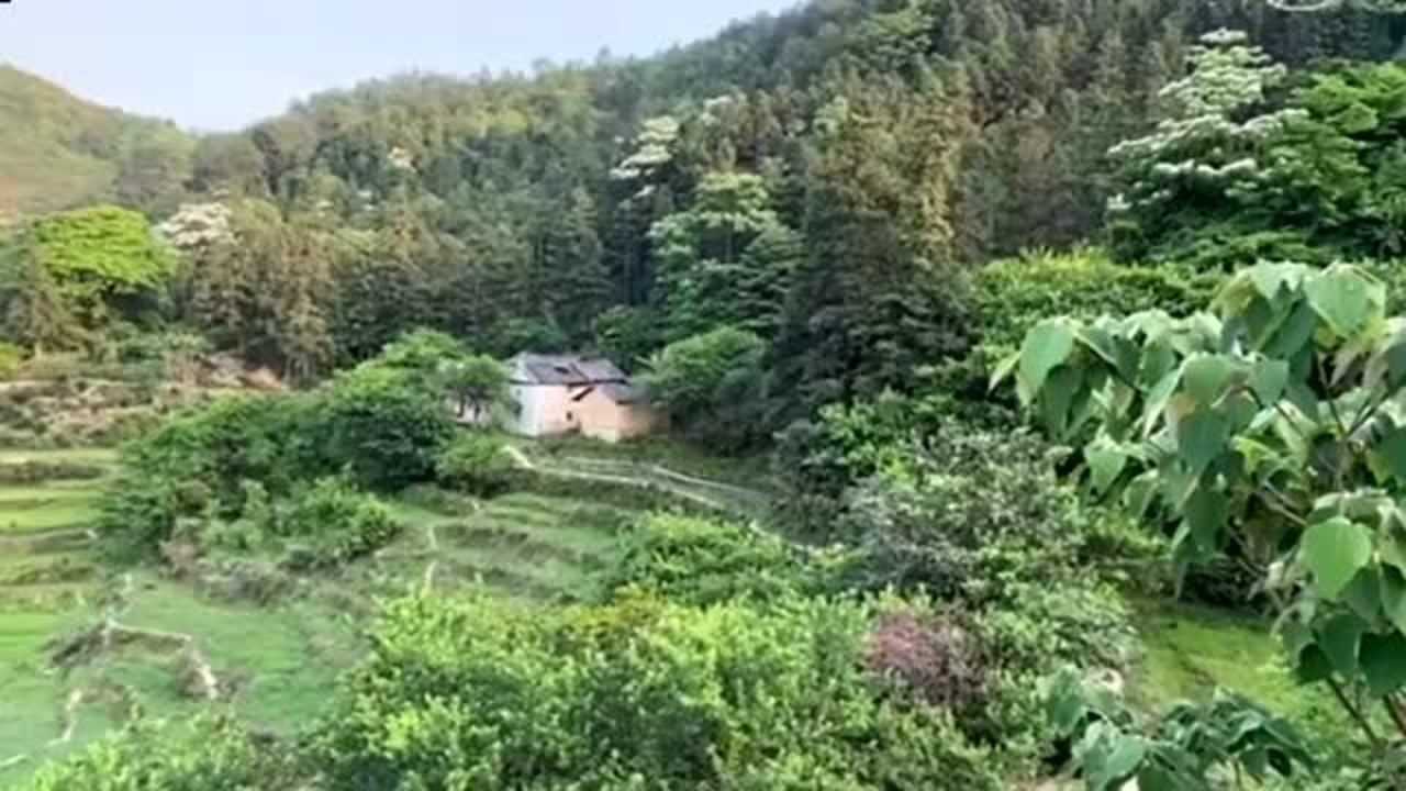 高山上的獨棟房子青龍纏繞是風水寶地嗎