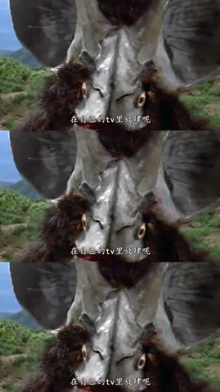奥特曼,不明真相的探头赛文,简直太搞笑了