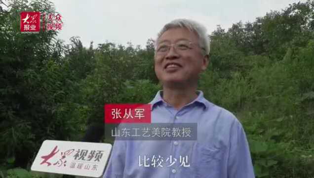 平阴拟开发孔子山,打造“杏坛遗响”文旅融合品牌