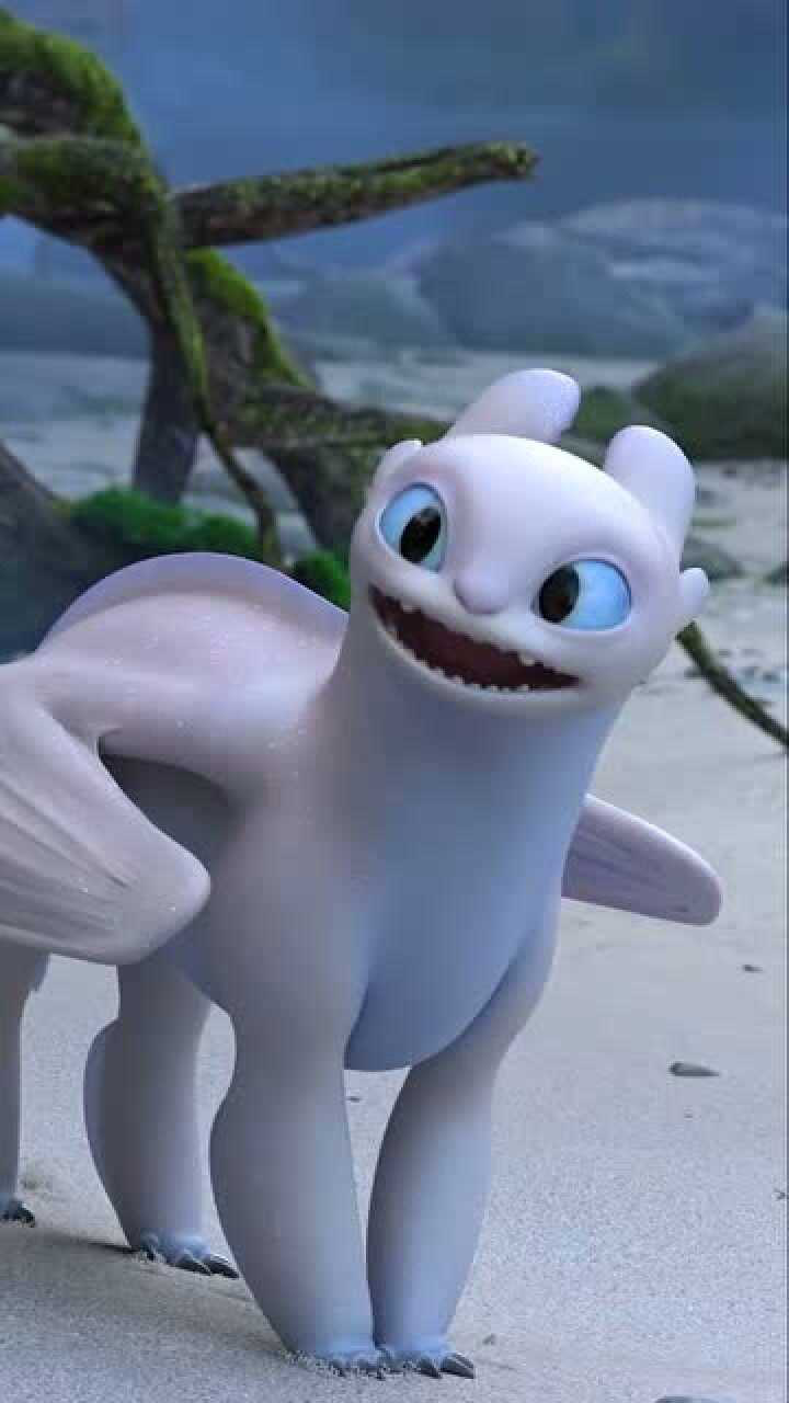 驯龙高手:无牙仔的爱情,跳求偶舞秒变憨憨,鬼知道