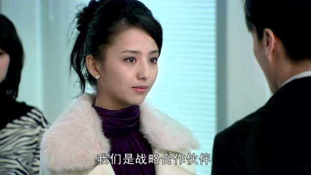 无懈可击之美女如云:公司派来客户总监和姚总接洽,但是姚总一定要等吕笑笑