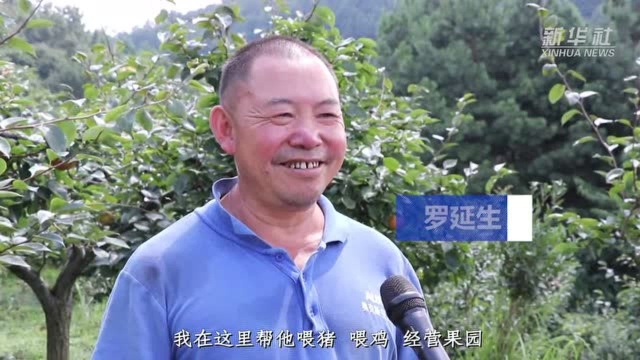 贵州遵义:实施“种养一体化” 发展生态循环经济