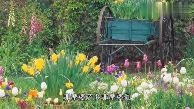 佛教音乐大悲咒男声版