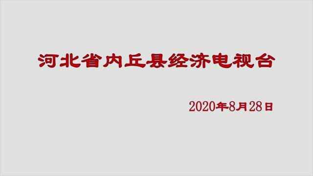 崔家庄村大搞中药材规模种植促进农民经济增收 2020年8月