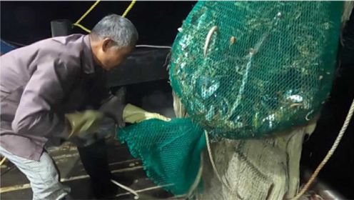 拖网渔船在远洋捕捞，一网捞起虾蟹大爆网， 现场看着太刺激了