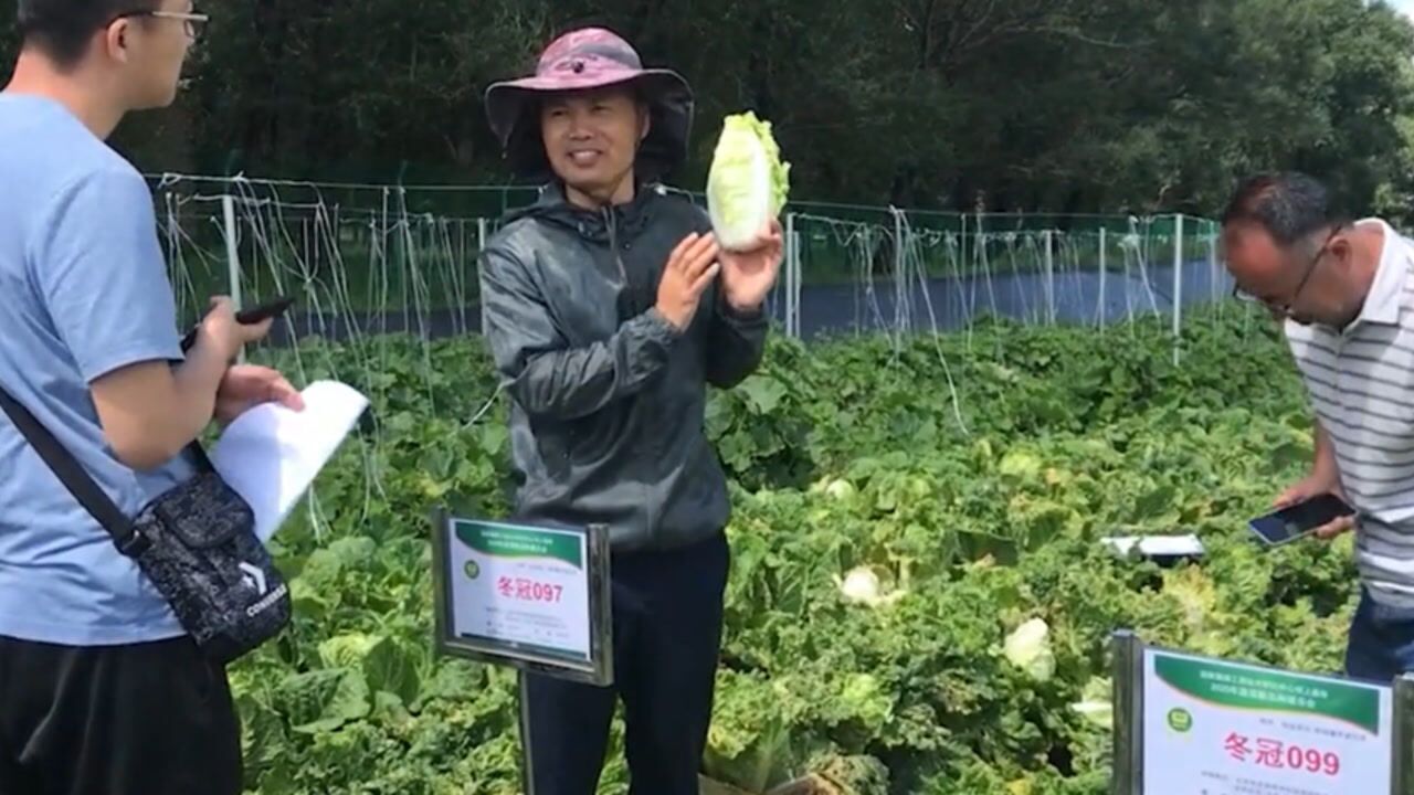 冬冠097(早皇白类)_高清1080P在线观看平台_腾讯视频