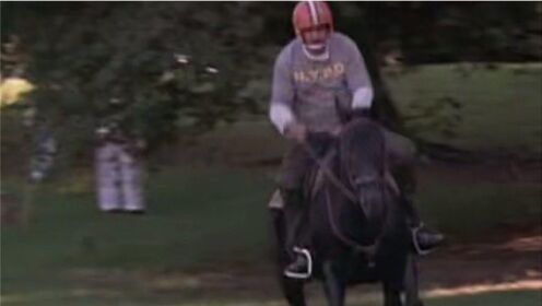 《纽约骑警》：这匹马太疯狂了，小伙可能驾驭不了它！