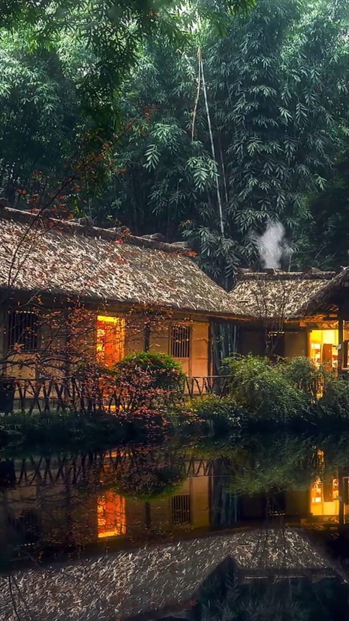 待到无牵无挂深山草屋为家了去世间繁华日出而耕日落而息闲时你来浊酒